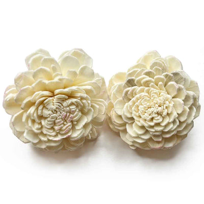 Cream Color Sola Wood Flower Pack of 10 | Cream Color Flower | Sola Wood | Wooden Flower | Adikala  | Art Craft | Collection