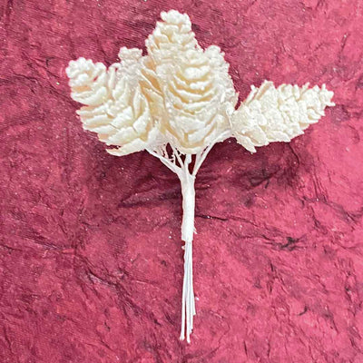 Cream Color Pine Filler Pack Of 2 Bunch (12 stems) | Cream Color | Pine Filler | Cream Color Pine Filler | Pack of Bunch | Craft Shop | Art Craft | Online craft | Adikala Craft Store