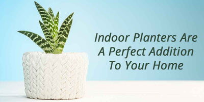 Indoor Planters Are A Perfect Addition To Your Home
