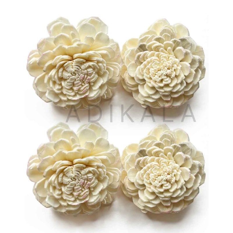 Cream Color Sola Wood Flower Pack of 10 | Cream Color Flower | Sola Wood | Wooden Flower | Adikala | Art Craft | Collection