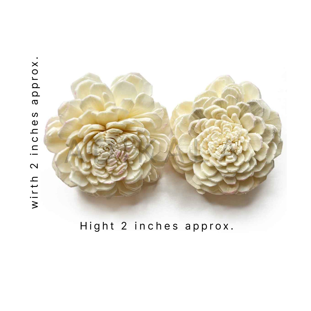 Cream Color Sola Wood Flower Pack of 10 | Cream Color Flower | Sola Wood | Wooden Flower | Adikala | Art Craft | Collection