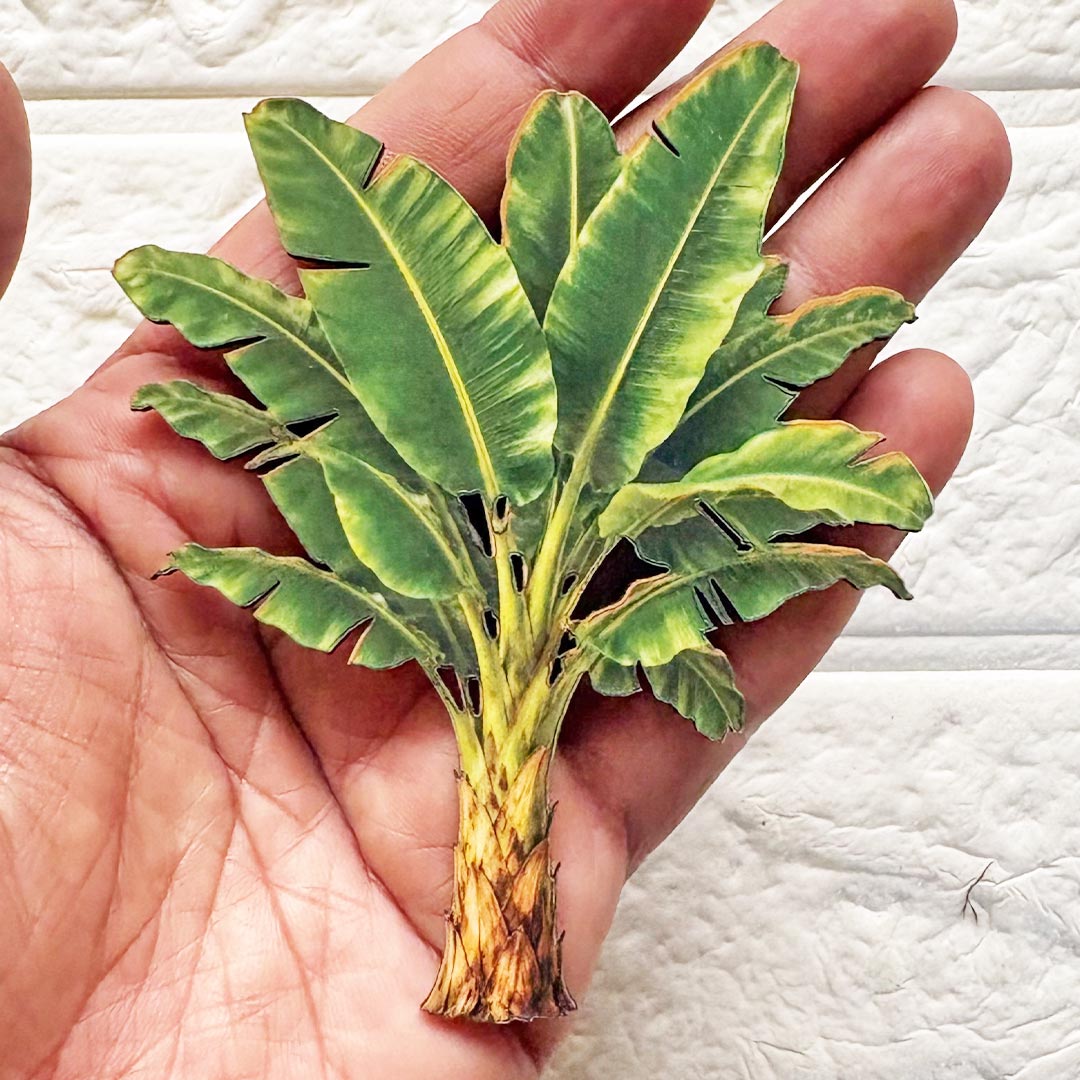 Banana Tree printed mdf Cutout Pack of 10 | DIY Decoration, Toran, Bandhanwar