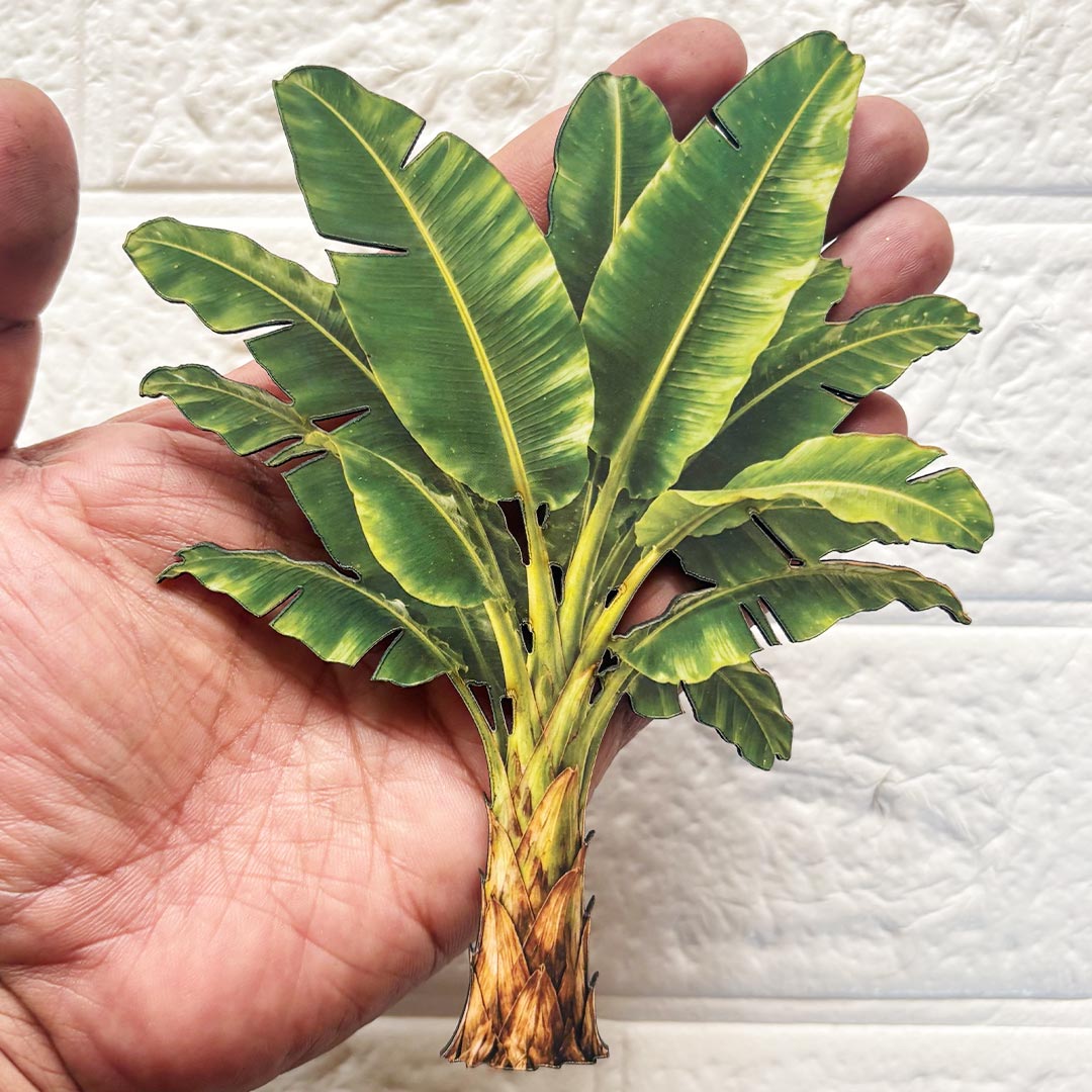 Banana Tree printed mdf Cutout Pack of 10 | DIY Decoration, Toran, Bandhanwar