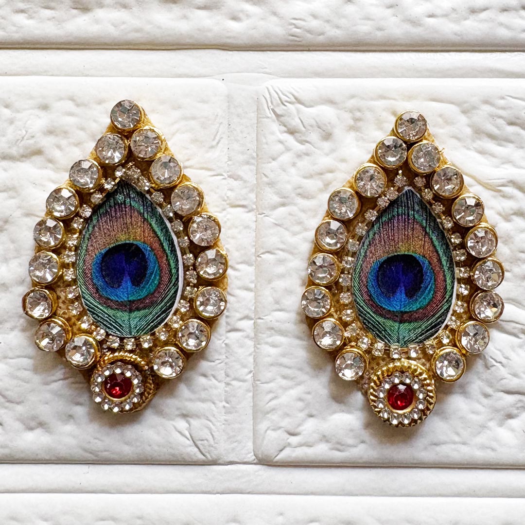 Big Feather Patch Pack Of 10 For Home festive decoration