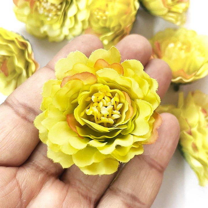 Multi Color Peony Flower Head Artificial Pack of 20 (5.5cm) for Home, Gift, Christmas,Valentine, Mandir Pooja Table, Cake Decor, Bouquet Making Decoration