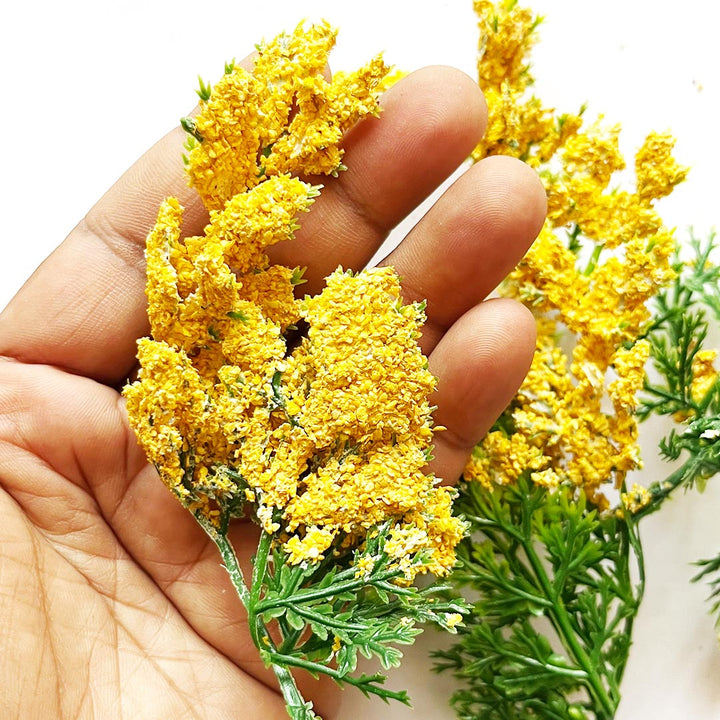 Green Fern Leaves With Yellow Edges Filler Set Of 12 for DIY Art  Decoration