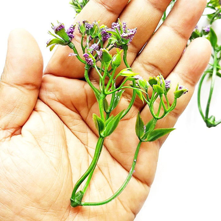 Green Fern Leaves With Purple Edges Filler Set Of 12 for DIY Art Decoration