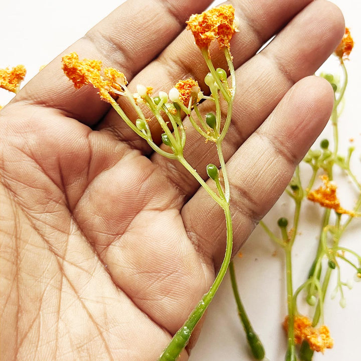 Green Fern Leaves With Orange Edges Filler Set Of 12 for DIY Art  Decoration