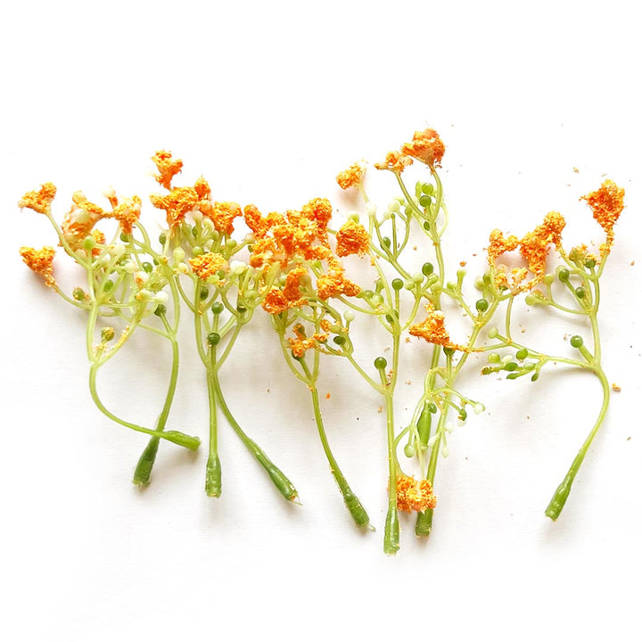 Green Fern Leaves With Orange Edges Filler Set Of 12 for DIY Art  Decoration