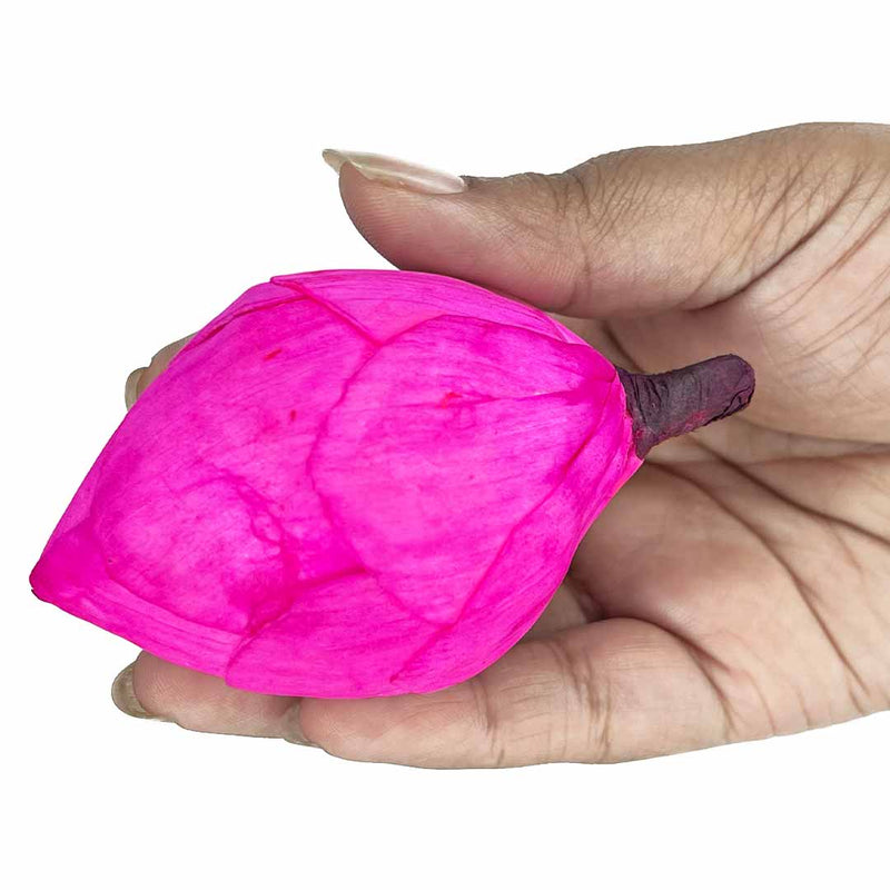 Pink Lotus Flower Bud Set of 6 | Pink Lotus Flower | Flower Bud | Adikala Craft | Art Craft