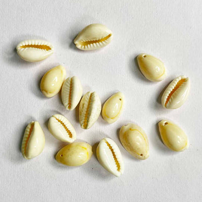 White Cowry Shells Pack Of 25