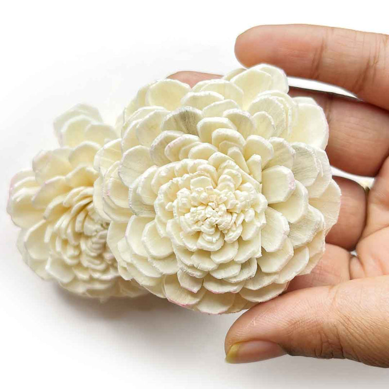 Cream Color Sola Wood Flower Pack of 10 | Cream Color Flower | Sola Wood | Wooden Flower | Adikala | Art Craft | Collection