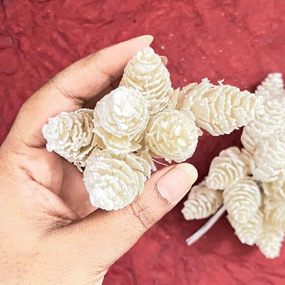 Cream Color Pine Filler Pack Of 2 Bunch (12 stems) | Cream Color | Pine Filler | Cream Color Pine Filler | Pack of Bunch | Craft Shop | Art Craft | Online craft | Adikala Craft Store