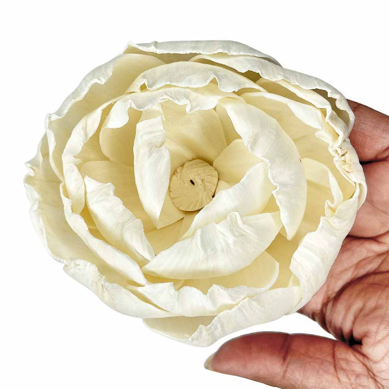 Cream Sola Wood Flower | Lotus Flower | flowers Set of of 4 | Red Color Flower | Flowers | Craft Making Flower | Artificial Flower | Amazing Lotus Buds | Lotus Bud Set of 6 | Lotus Flower | Lotus | Flower | Flower | Wedding Decoration | Indian Flower | Home Decoration | Pichwai Art | Indian Art | Adikala