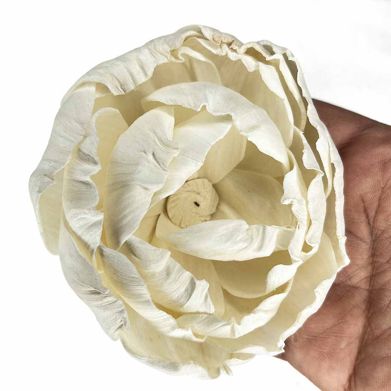 Cream Sola Wood Flower | Lotus Flower | flowers Set of of 4 | Red Color Flower | Flowers | Craft Making Flower | Artificial Flower | Amazing Lotus Buds | Lotus Bud Set of 6 | Lotus Flower | Lotus | Flower | Flower | Wedding Decoration | Indian Flower | Home Decoration | Pichwai Art | Indian Art | Adikala