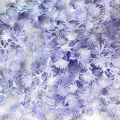 Light Purple Fern Leaves With White Edges Set Of 12 | Light Purple Fern Leaves | White Edges Set Of 12 | Fern Leaves | Set Of 12 | Light Purple Fern Leaves | Art Craft | Craft Store | Online Craft | Adikala Craft Store