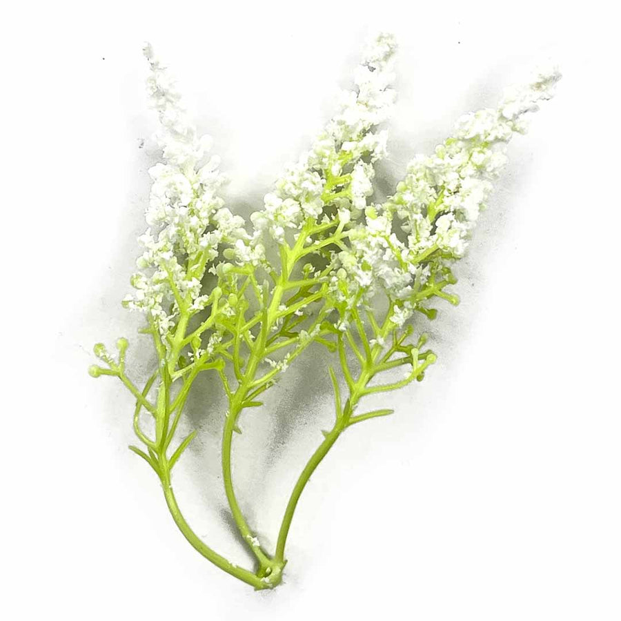 Light Green Trio Frosted Fern Leaves With White Edges Set Of 12 |  Light Green | Trio Frosted Fern Leaves |  white edge  | Set of  12 | Art | Craft | Craft Store | Art Craft Online | Online Store OF India | Adikala