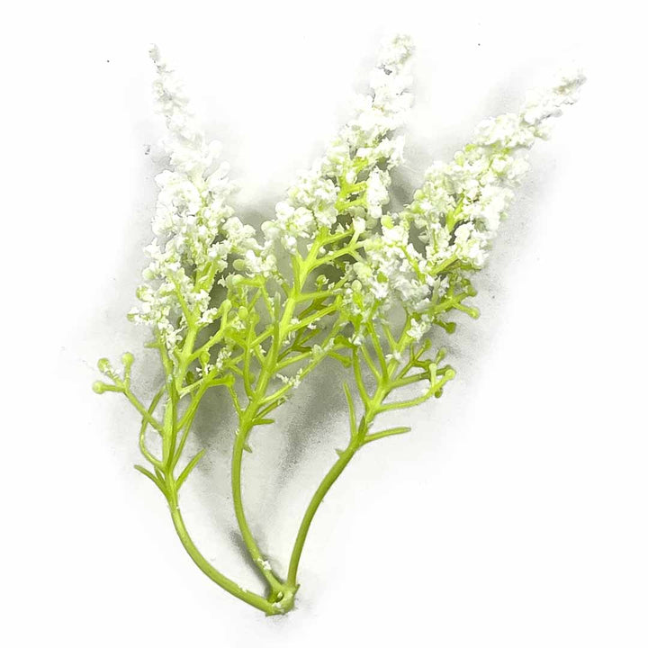 Light Green Trio Frosted Fern Leaves With White Edges Set Of 12 | Light Green | Trio Frosted Fern Leaves | white edge | Set of 12 | Art | Craft | Craft Store | Art Craft Online | Online Store OF India | Adikala