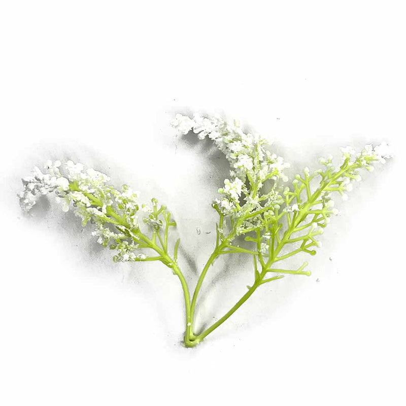 Light Green Trio Frosted Fern Leaves With White Edges Set Of 12 | Light Green | Trio Frosted Fern Leaves | white edge | Set of 12 | Art | Craft | Craft Store | Art Craft Online | Online Store OF India | Adikala