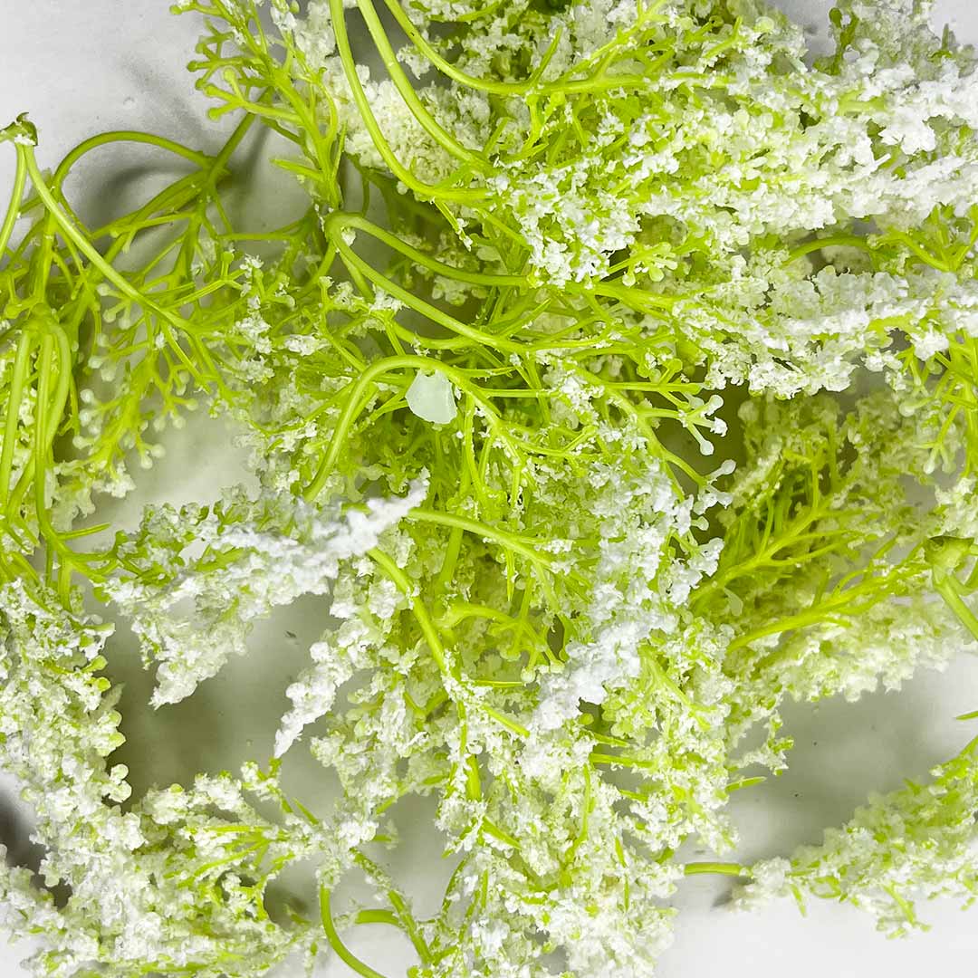 Light Green Trio Frosted Fern Leaves With White Edges Set Of 12 | Light Green | Trio Frosted Fern Leaves | white edge | Set of 12 | Art | Craft | Craft Store | Art Craft Online | Online Store OF India | Adikala
