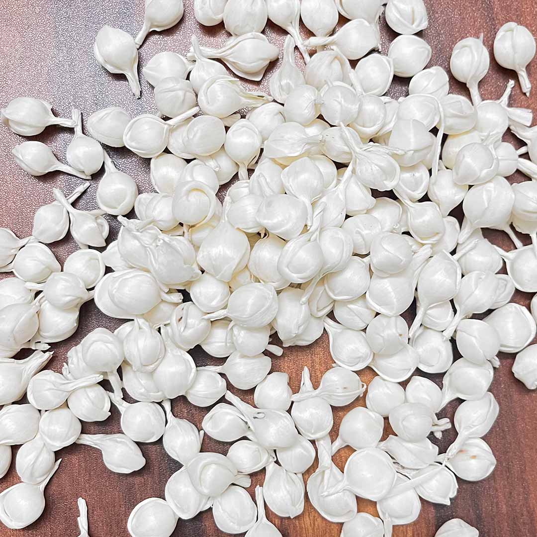 Mogra Buds | Jasmine Buds Flowers | Flowers Without  Stamp | Set of 500 | Art Craft | Craft Store | Craft | Art Making | Project Making | Online Art Craft | Indian Art Craft | Indian Craft | Handmade | decoration Essentials | Adikala Craft Store