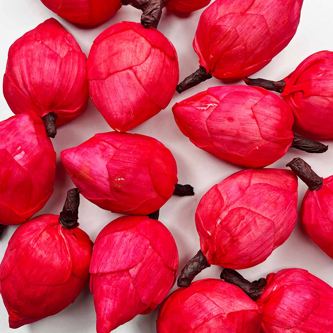 Red Color Lotus Flower | Flowers | Craft Making Flower | Artificial Flower | Amazing Lotus Buds | Lotus Bud Set of 6 | Lotus Flower | Lotus | Flower | Flower | Wedding Decoration | Indian Flower | Home Decoration | Pichwai Art | Indian Art | Adikala