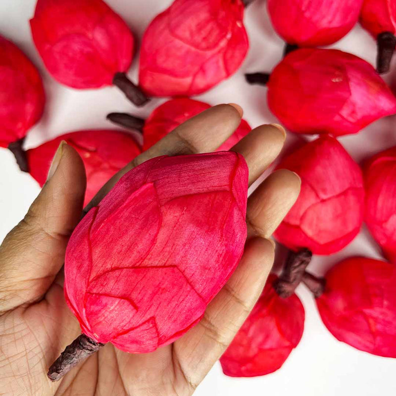Red Color Lotus Flower | Flowers | Craft Making Flower | Artificial Flower | Amazing Lotus Buds | Lotus Bud Set of 6 | Lotus Flower | Lotus | Flower | Flower | Wedding Decoration | Indian Flower | Home Decoration | Pichwai Art | Indian Art  | Adikala 
