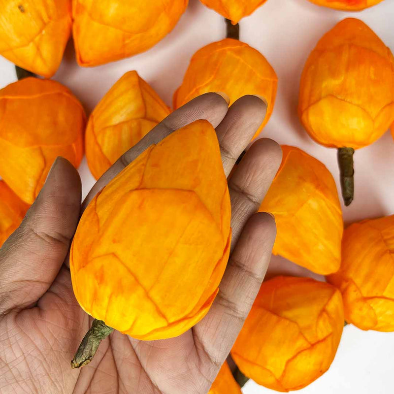 Orange Color Lotus Flower | Flowers | Craft Making Flower | Artificial Flower | Amazing Lotus Buds | Lotus Bud Set of 6 | Lotus Flower | Lotus | Flower | Flower | Wedding Decoration | Indian Flower | Home Decoration | Pichwai Art | Indian Art | Adikala