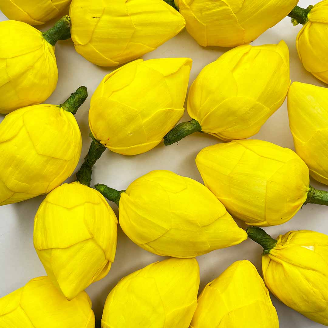 Yellow Color Lotus Flower | Flowers | Craft Making Flower | Artificial Flower | Amazing Lotus Buds | Lotus Bud Set of 6 | Lotus Flower | Lotus | Flower | Flower | Wedding Decoration | Indian Flower | Home Decoration | Pichwai Art | Indian Art | Adikala