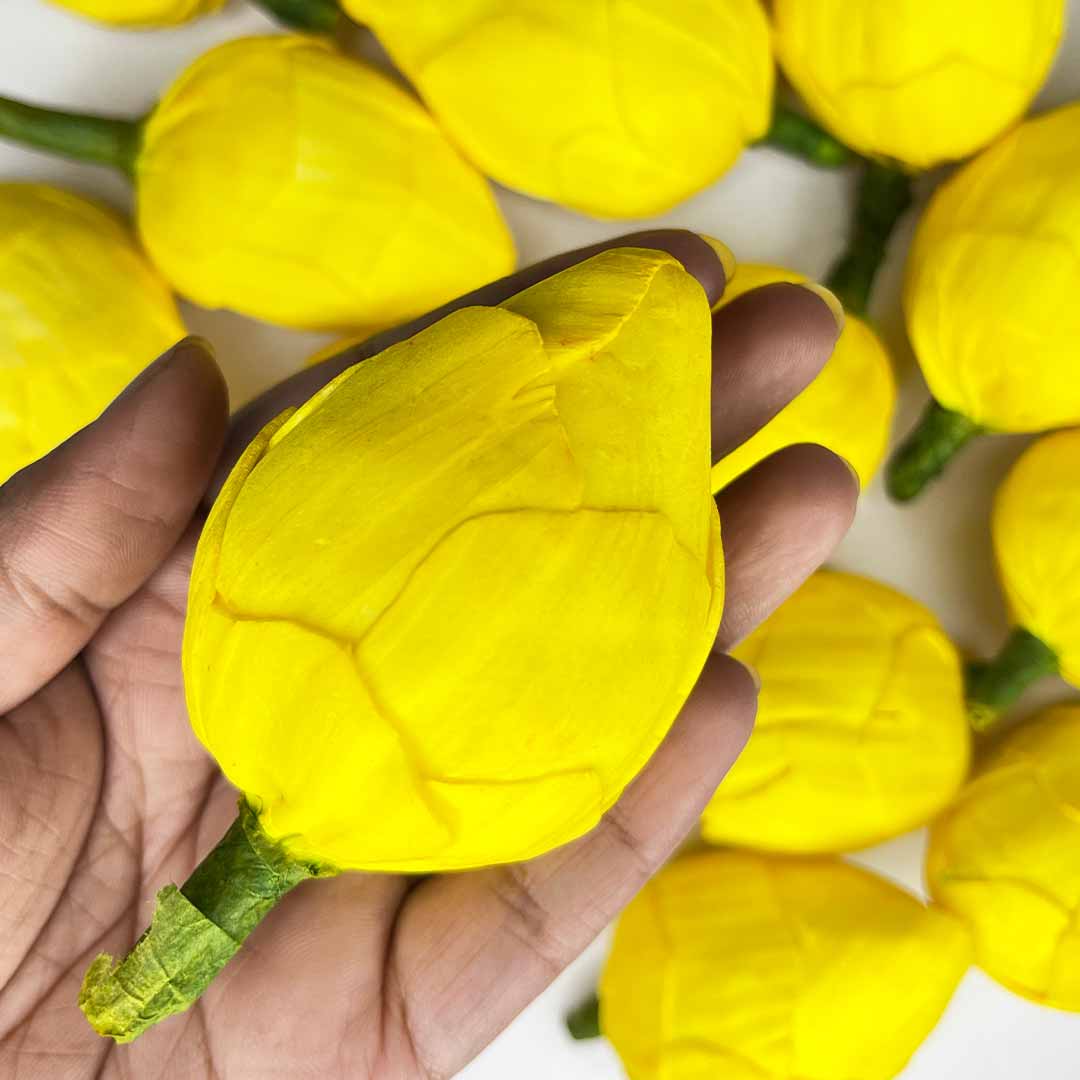 Yellow Color Lotus Flower | Flowers | Craft Making Flower | Artificial Flower | Amazing Lotus Buds | Lotus Bud Set of 6 | Lotus Flower | Lotus | Flower | Flower | Wedding Decoration | Indian Flower | Home Decoration | Pichwai Art | Indian Art | Adikala